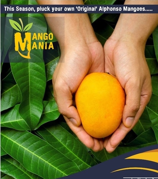 Main Banner Image 1